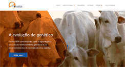 Desktop Screenshot of cenatte.com.br